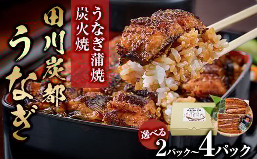 
            うなぎ蒲焼炭火焼 『田川炭都うなぎ』選べる 2パック 4パック ※【離島への配送不可】※ 蒲焼 炭火焼 大分県産
          