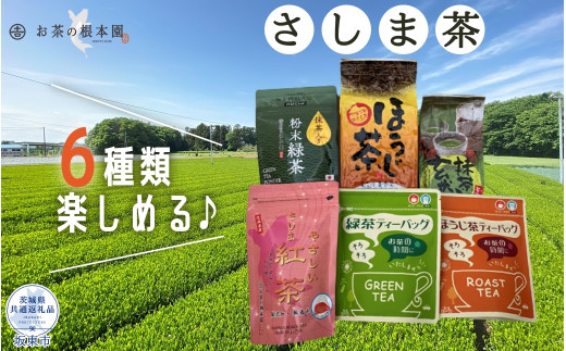 
お茶の根本園 さしま茶6種飲み比べセット（茨城県共通返礼品・坂東市産）
