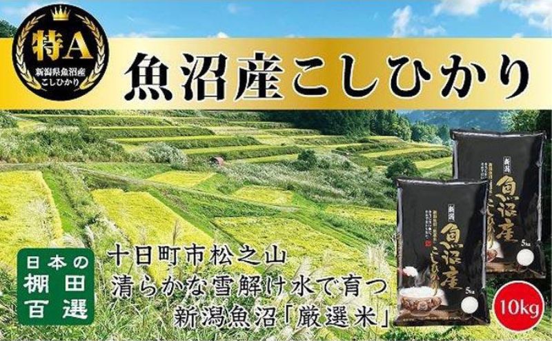 【令和7年産新米予約】【食味鑑定士厳選】日本棚田百選のお米　天空の里 魚沼産 こしひかり 10kg(5kg×2)