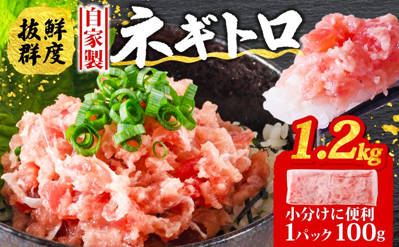 
            【発送時期が選べる】ネギトロ 1.2kg ( 100g×12パック )  | 冷凍 小分け 便利 ねぎとろ とろ 鮪 マグロ まぐろ たたき まぐろのたたき 海鮮 海鮮丼 魚介 魚 人気 オススメ 小分け 人気 定番 ご飯 愛媛県 松山市
          