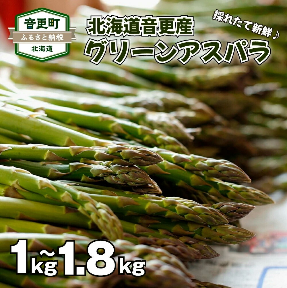 【ふるさと納税】［先行受付］おとふけ産グリーンアスパラ 1kg / 1.8kg【2026年5月中旬頃より順次発送】アスパラ アスパラガス 野菜 緑黄色野菜 やさい 十勝 冷蔵 数量限定 北海道 音更町 送料無料