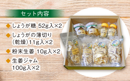 しょうがやさんの手作りセット  お菓子 スイーツ セット 生姜 加工食品 自家製 国産 生 殺菌力 温める 手作り ジャム ジンジャーティー つまみ 詰合せ 送料無料 愛西市/しょうがやさん [AEA