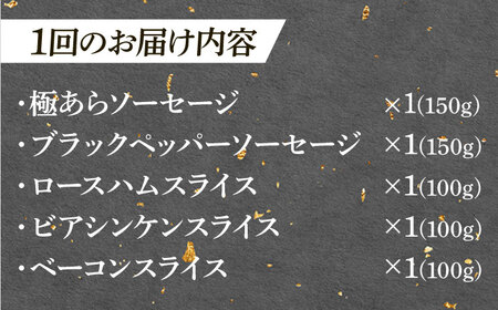 【6回定期便】 ハム・ソーセージ 瑞浪ボーノポーク お試し 5種セット 600g (冷凍) 瑞浪市 / きなぁた瑞浪 詰め合わせ ギフト[AZCI099]