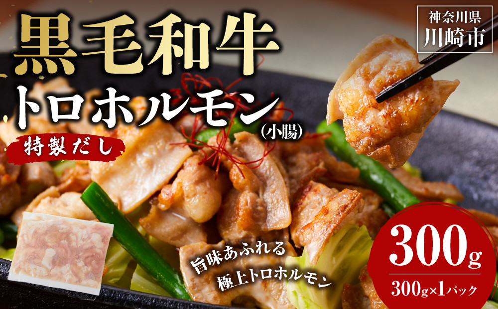 黒毛和牛トロホルモン（小腸）　特製だし0.3kg ( 300g × 1パック )【2026年8月発送】 141305_KZ54VC08