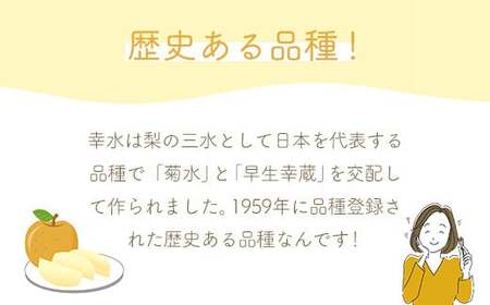 【R9先行予約】幸水 5kg 白岡ちば果樹園の樹上完熟　