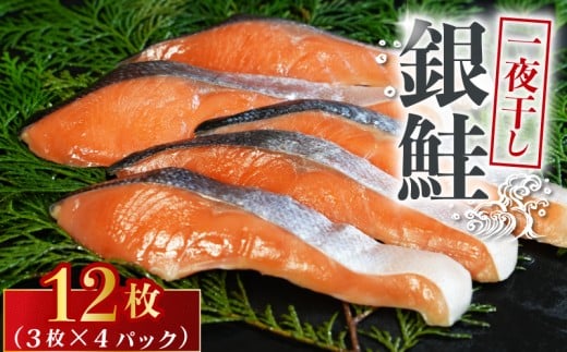 銀鮭 一夜干し 12枚 （4パック×3枚）干物 ひもの さけ 鮭  魚 海鮮 おかず 酒 のあて おつまみ 弁当 塩 魚介 惣菜 食品 冷凍食品 グルメ 贈答 贈り物 プレゼント ギフト お取り寄せ ふるさと納税 送料無料 千葉県 銚子市  10000円 株式会社甲印小西商店