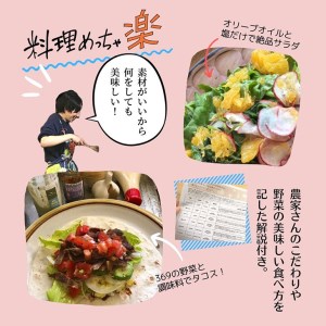 【8回定期便】＜369商店＞京都丹波産旬の野菜セット ※全て栽培期間中農薬・化学肥料不使用※