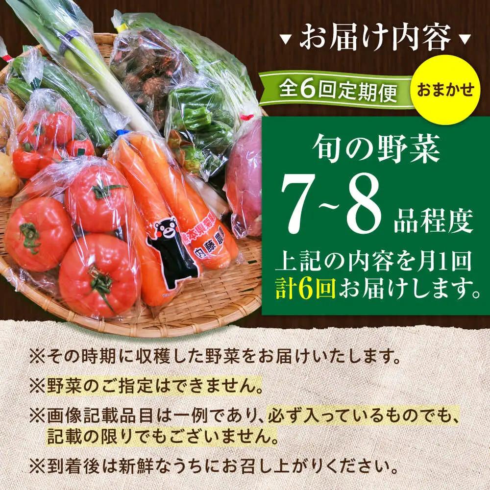 全6回定期便 旬の 野菜 セット 約3kg 野菜 7-8品程度 BHAK025