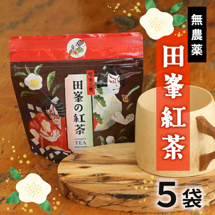 【ふるさと納税】無農薬！田峯紅茶 5袋セット 紅茶 アイスティー ホット アイス お茶 -022