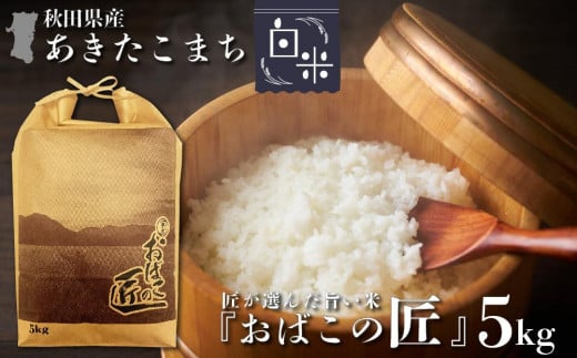 ※令和6年産 新米予約※ 秋田県産おばこの匠あきたこまち　5kg （5kg×1袋）白米