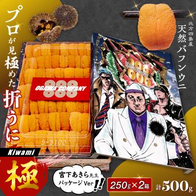 ふるさと納税 浜中町 ≪プロ厳選≫最高級折うに(極)男塾バージョン計500g_H0014-124