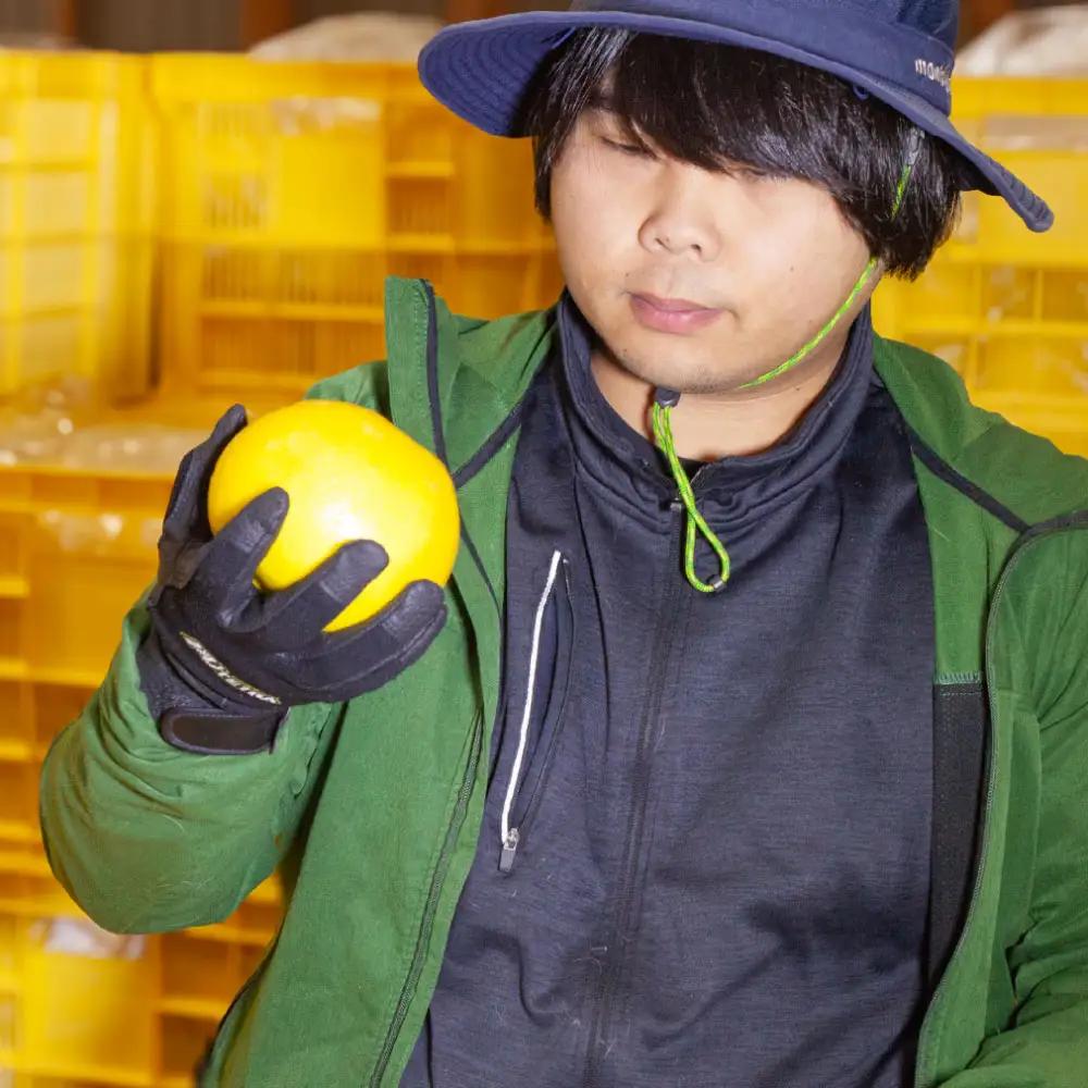 【先行予約】三宮果樹園の土佐文旦 ご家庭用Lサイズ 3kg〈2027年2月14日から2027年3月15日発送〉高知県 土佐市【三宮果樹園】[BQAP009]