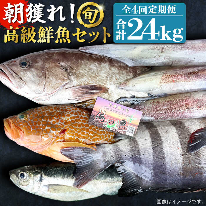 【ふるさと納税】【全4回定期便】【五島列島・直送】朝獲れ！高級鮮魚セット6kg 五島市 / 鯛福丸水産 [PDP007]
