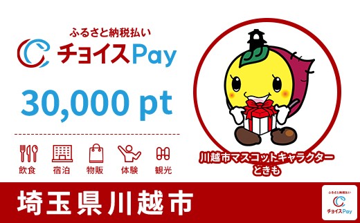 
                  川越市チョイスPay 30,000pt【会員限定のお礼の品】
                