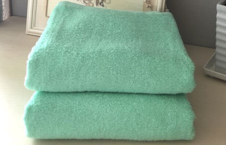 超大判バスタオル２枚セット（ウォーターグリーン）泉州タオル 90×170cm【泉州タオル 国産 吸水 普段使い 無地 シンプル 日用品 家族 ファミリー】