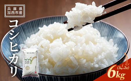 コシヒカリ 令和7年産 白米 精米 コシヒカリ【6kg(3kg×2袋)】