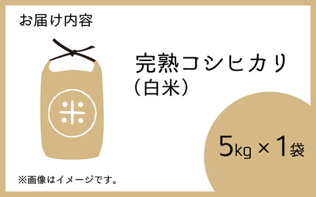 【先行予約】【令和7年産 新米】くらもち完熟米 コシヒカリ 5kg【2025年10月より順次発送】ふるさと納税 米 5kg 福井県 高浜町 の おいしい お米 発祥の地 こめ おこめ 白米 精米 完熟