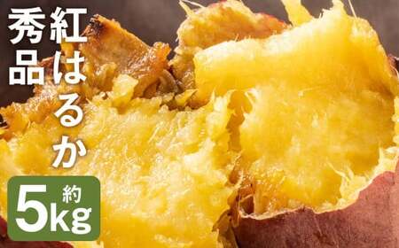 秀品 紅はるか約5kg S～2L混合 株式会社Foody’s 《90日以内に発送予定（土日祝を除く）》熊本県 菊池市 さつまいも 芋 紅蜜芋 焼き芋 野菜 菊池市産 熊本県産 九州産