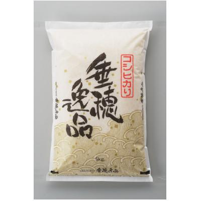 ふるさと納税 燕市 【毎月定期便】3か月定期便　コシヒカリ精米10kg　お米コンテストで金賞米全3回
