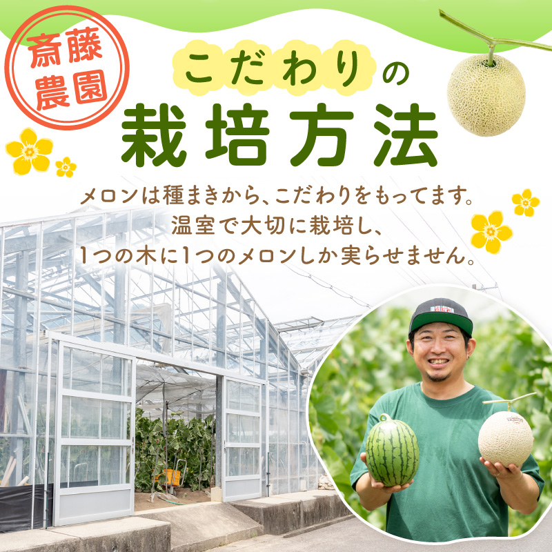 アールスメロン(マスクメロン) 4玉 6kg程度 糖度13度程度≪家庭用≫【配送不可地域：北海道・青森・秋田・岩手・沖縄・離島】【1355】