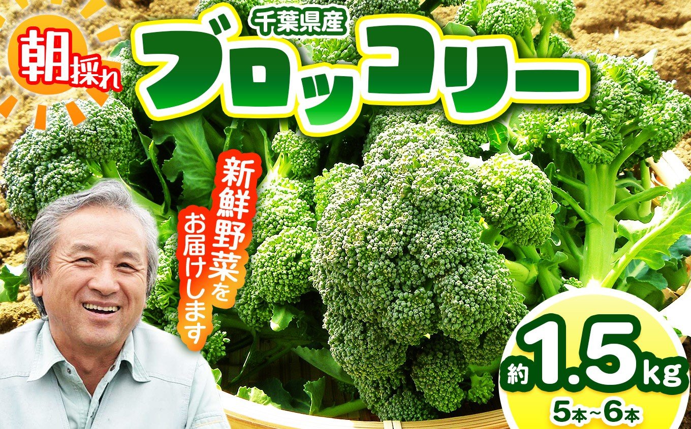 
            【農薬（化学肥料）：栽培期間中不使用】 朝採り！ ブロッコリー 約1.5㎏（5～6本）  | 鈴木アル・ファーム 新鮮 にがり農法 国産 新鮮 詰め合わせ 産地直送 朝採れ 栄養たっぷり 安心野菜 旬 君津市 千葉県
          