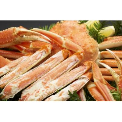 ふるさと納税 森町 北海道森町水揚げずわいがに4尾(約550〜650g) |  | 02