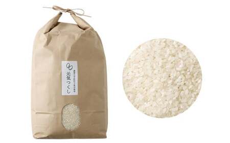 【栽培期間中肥料・農薬不使用】福岡県産 元気つくし 白米 5kg お弁当 【2025年11月上旬より順次発送予定】