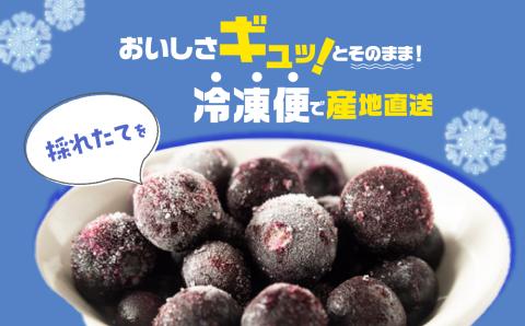 東京農工大学名誉教授「横山　正」ブランドのブルーベリー冷凍果実4パックセット（品種おまかせ）【東和ブルーベリー研究農園】