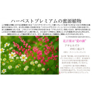 沖縄ハニー　ハーベスト プレミアム 250g　2本