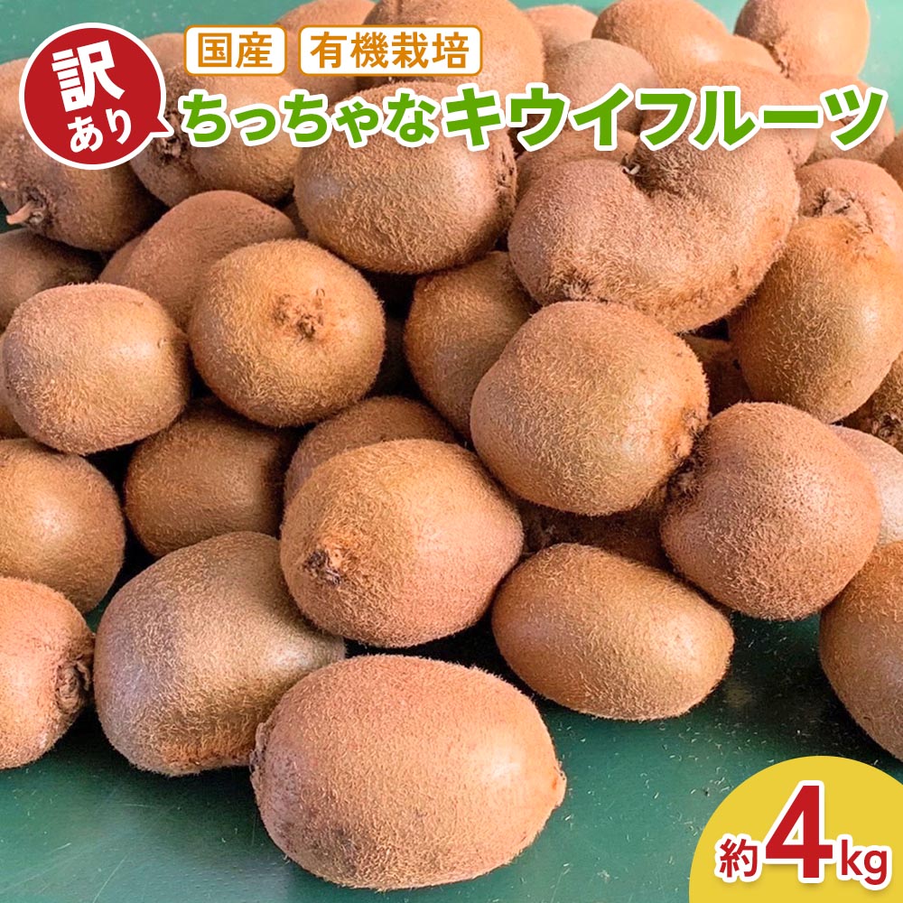 【ふるさと納税】[訳あり] ちっちゃなキウイフルーツ (約4kg) 有機栽培 [黒澤農園]｜数量限定 期間限定 キウイ ヘイワード 果物 果実 フルーツ 農家直送 産地直送 有機栽培 国産 甘楽町産 群馬県産 訳あり品 [0306]