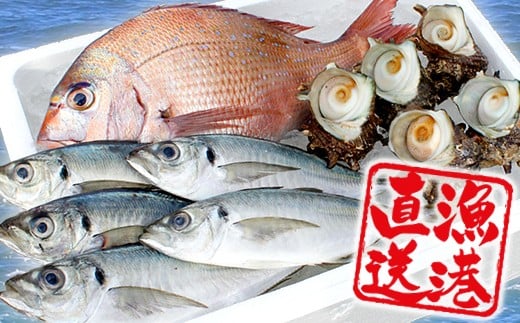 【朝獲れ直送！】天羽漁協　旬の魚介３種セット