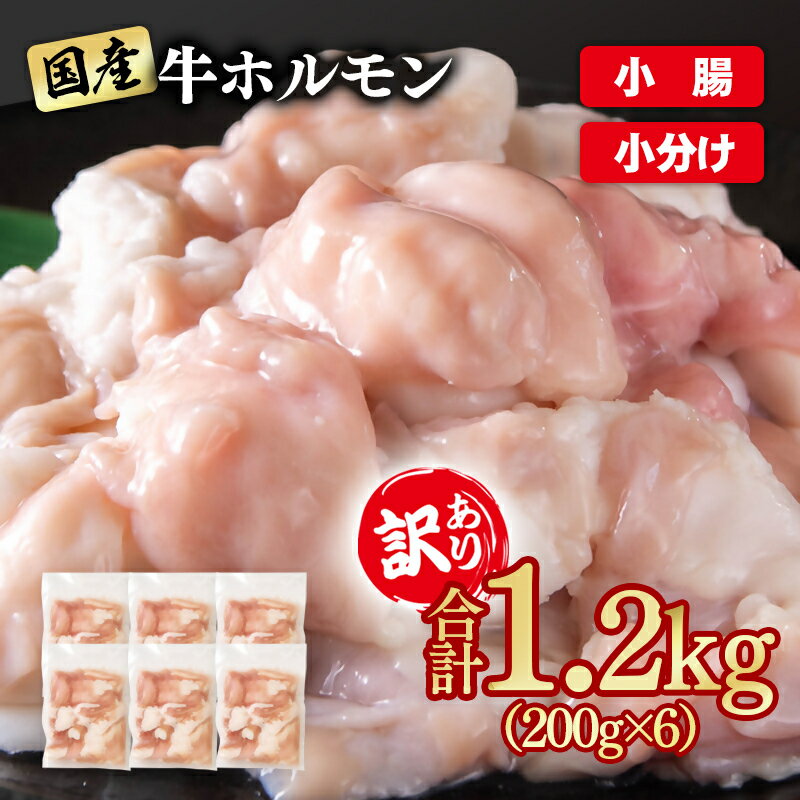 【ふるさと納税】訳あり牛ホルモン1.2kg 小分け200g×6 国産 ホルモン もつ鍋 焼肉用 国産牛 牛モツ コラーゲン＜1-300＞ YAMA