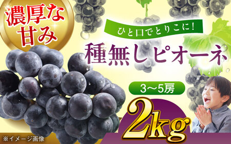 【先行予約】【9月上旬より順次発送】種無しピオーネ2kg（3から5房） 大洲市/沢井青果有限会社 [AGBN014] ピオーネ ぶどう ピオーネ ぶどう ピオーネ ぶどう ピオーネ ぶどう