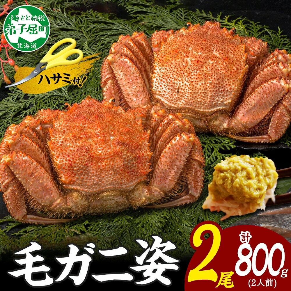 【ふるさと納税】2563. カニ 蟹 毛蟹 2尾 計800g前後 食べ方ガイド・専用ハサミ付 カニ かに 蟹 海鮮 ボイル キャンプ飯 バーベキュー BBQ 送料無料 32000円 北海道 弟子屈町