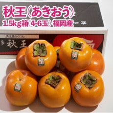 福岡県産限定オリジナル柿・秋王・約1.5kg(福岡市返礼品)