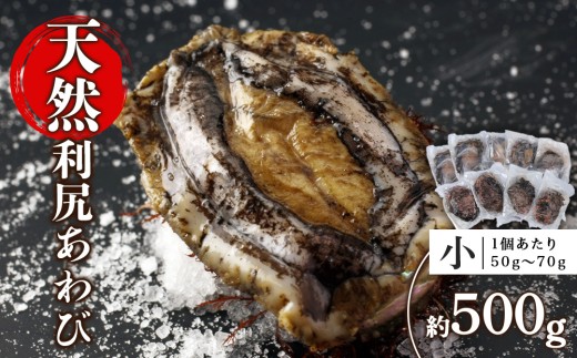 天然利尻あわび 500g＜小＞（50g～70gサイズ）＜利尻漁業協同組合＞