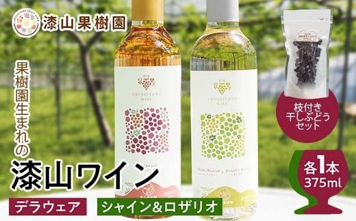 果樹園生まれの 漆山果樹園ワイン 「 漆山ワイン (デラウェア) + 漆山ワイン (シャイン＆ロザリオ) + 枝付き干しぶどう セット 」 『漆山果樹園』 山形県 南陽市 [2279]