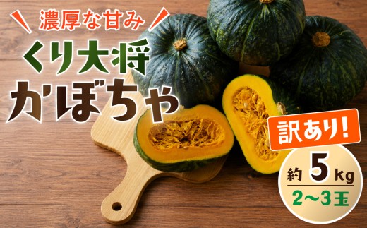 訳あり かぼちゃ くり大将 《訳あり/正規品・容量が選べる！》訳あり 茨城県産 くり大将 約3kg (1玉〜3玉) / 約5kg (2玉〜3玉) / 約10kg (5玉〜6玉) 【茨城県 下妻市産 かぼちゃ カボチャ 南瓜 くり大将 くりたいしょう 採れたて 旬野菜 季節の野菜 甘い おすすめ】