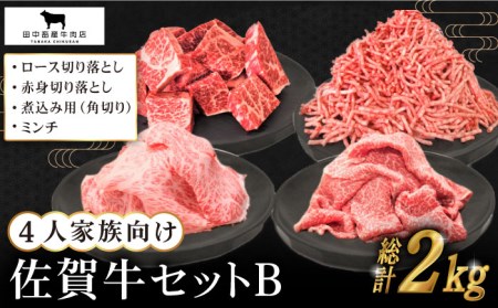 【毎日の料理に】4人家族向け 佐賀牛 普段使いセットB【田中畜産牛肉店】農林水産大臣賞 ロース 赤身 角切り 切り落とし[HBH114] 佐賀牛 牛肉 農林水産大臣賞 佐賀牛 牛肉 ロース 佐賀牛 牛