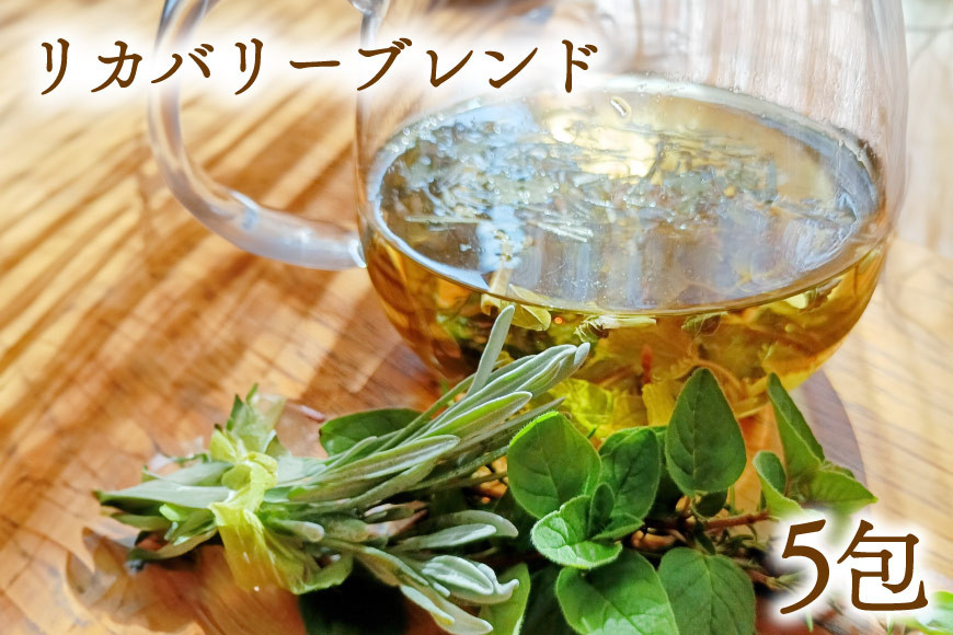 
            疲れた体を整える！体と心に沁み渡る豊かな香りと味わい！ブレンドハーブティーバッグ 5包 リカバリーブレンド [ハーブ園さくらい 山梨県 中央市 21470954] お茶 ティー ハーブティー ハーブ 茶 茶葉 リフレッシュ リカバリー リラックス 国産 農薬化学肥料不使用
          