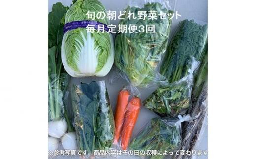 旬の朝どれ野菜セット×3回 ／ やさい 朝採れ 埼玉県