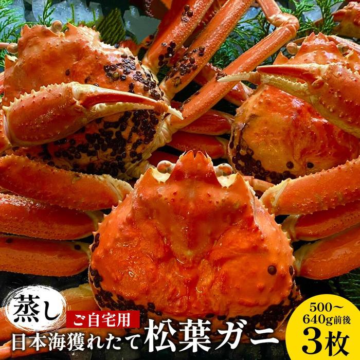 【ふるさと納税】114.【先行予約】【蒸し】訳あり ご自宅用 日本海獲れたて松葉ガニ 500～640g前後 3枚 ※2025年11月上旬～2026年3月上旬頃に順次発送予定 | 松葉ガニ 松葉蟹 蟹 かに 甲殻類 ズワイガニ 鳥取県 北栄町 おすすめ 人気 送料無料