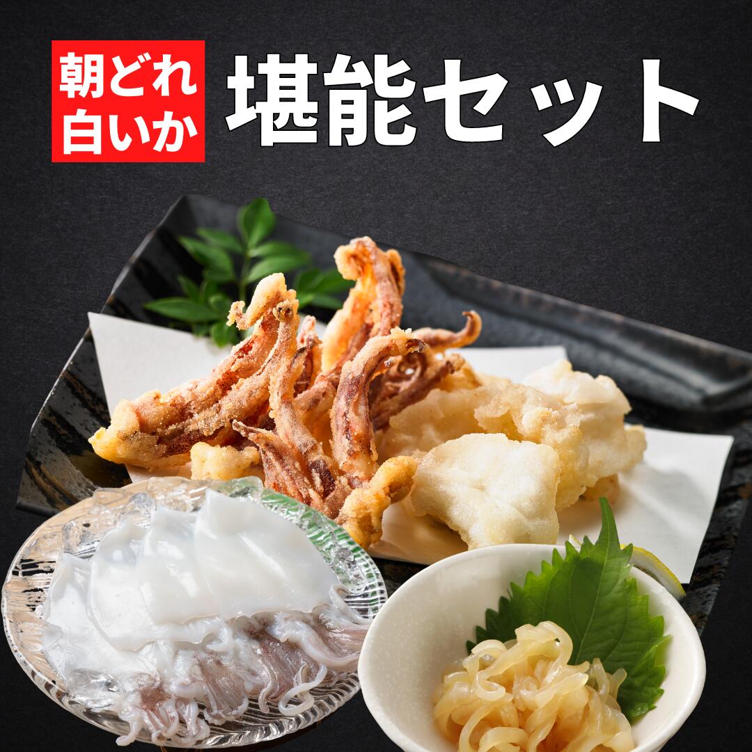 【のし付き】白いか堪能セット お歳暮に 島の特産品 高級白いかを贅沢に味わう４種_イメージ1