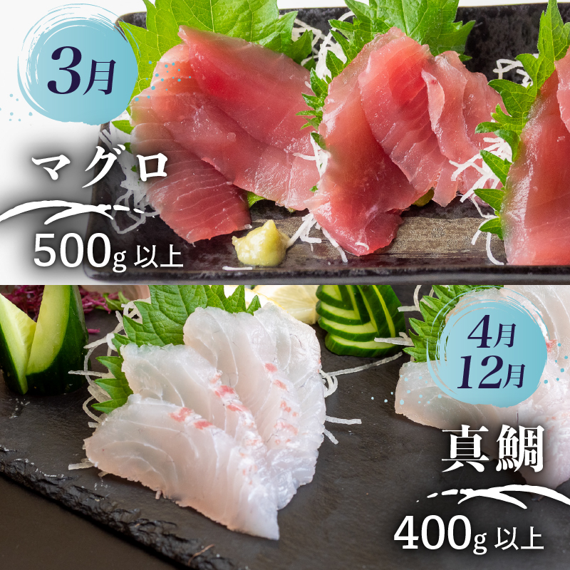 【鮮魚定期便 】 旬 の 刺身 定期便 4回 コース 野島水産 が お届け！ | 漁師町定期便 下処理済み 鮮魚 刺し身定期便 かつお かつおのたたき 藁焼き タタキ 鯛 真鯛 マグロ 牡蠣 しらす 