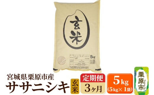 《定期便3ヶ月》【令和6年産・玄米】宮城県栗原産 ササニシキ 毎月5kg (5kg×1袋)×3ヶ月