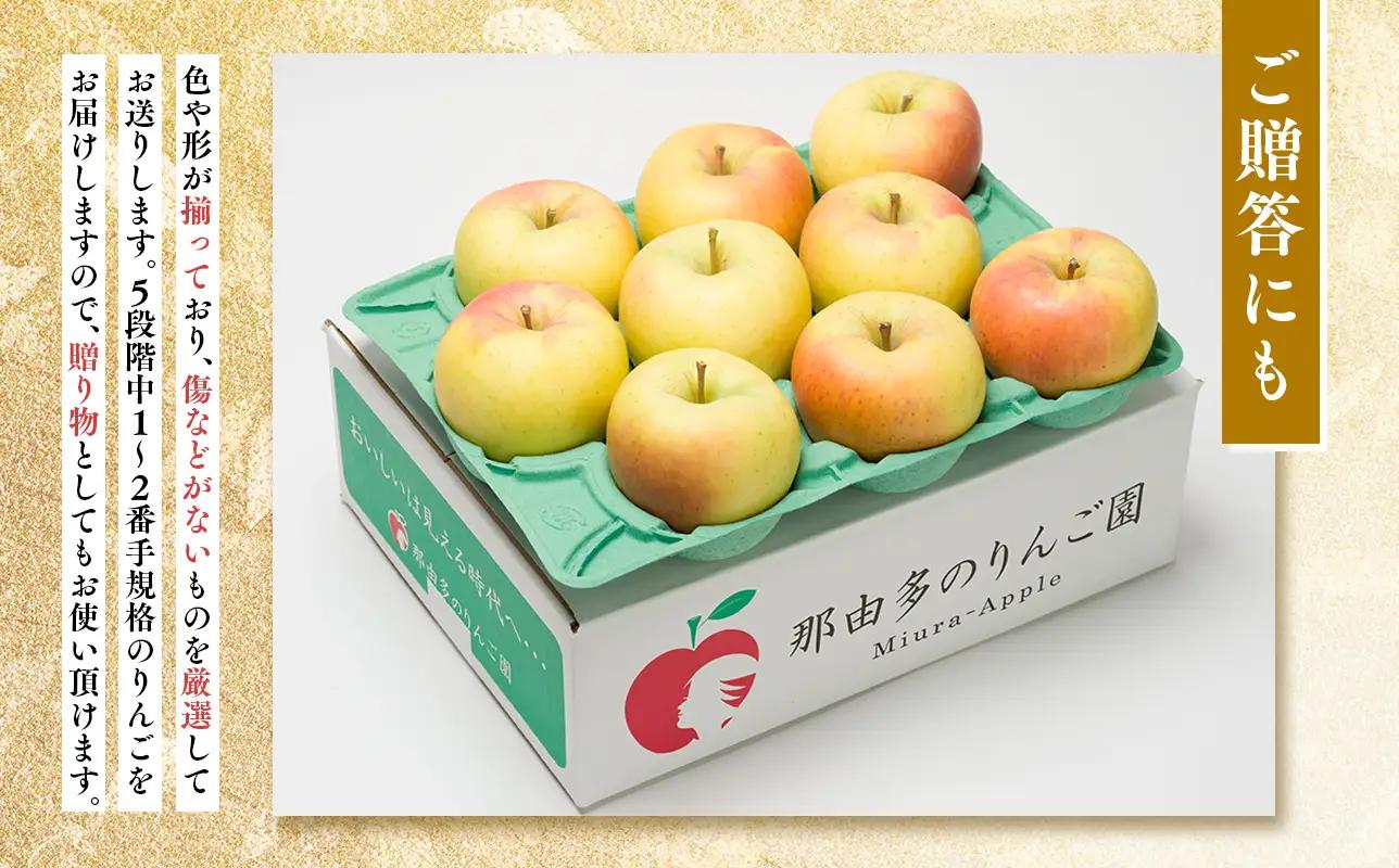 【レビューキャンペーン】1~2月発送 贈答用 糖度証明書付 ぐんま名月 約5kg[hi-0005-037]
