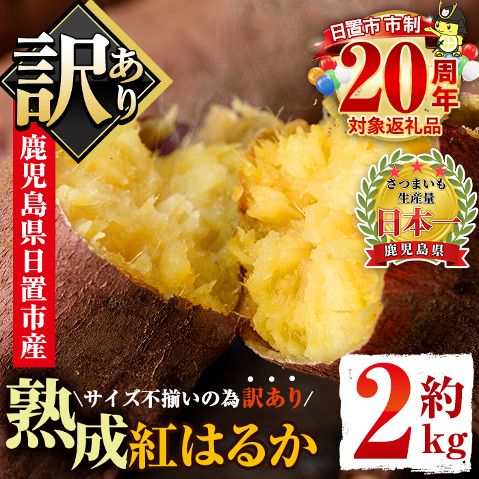 No.560-C ＜訳あり・不揃い＞鹿児島県日置市産さつまいも！熟成紅はるか(約2kg) 国産 九州産 サツマイモ 訳アリ 紅春香 熟成 芋 焼き芋 野菜 スイーツ 常温 常温保存【末永商店】
