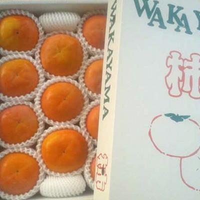 ふるさと納税 かつらぎ町 【厳選・産直】和歌山産富有柿約4kg 化粧箱入り(2L〜4Lサイズおまかせ)(かつらぎ町) |  | 01