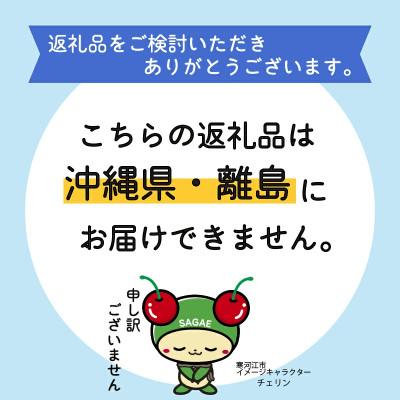 ふるさと納税 寒河江市 【色お任せ5色以上※10品種】薔薇の花20本×長さ60cm(切り花延命剤付属)※ 配送不可沖縄・離島 |  | 01