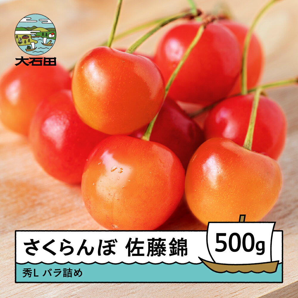【ふるさと納税】先行予約 さくらんぼ 佐藤錦 6月上旬~下旬発送 秀Lサイズ 500g バラ詰め 2026年産 山形県産 送料無料 サクランボ ns-snslb500